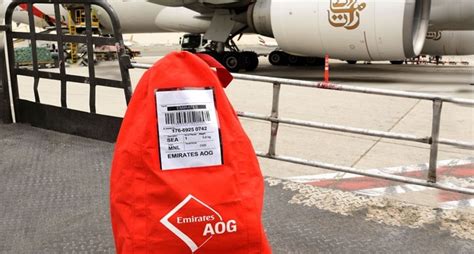 Emirates SkyCargo introduces new product for rapid transport of ...