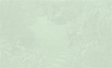 Correct Answer Backdrop 的图像结果