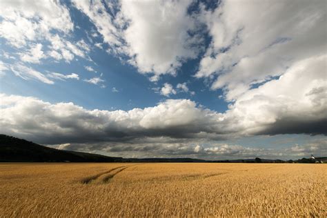 Field 图片 的图像结果