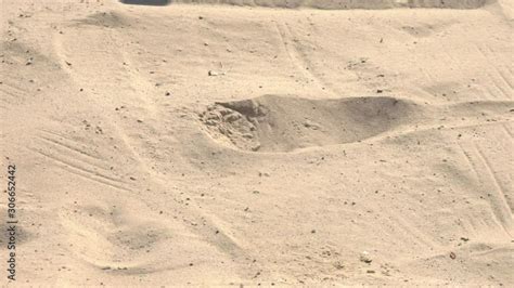 Long Jump 的图像结果