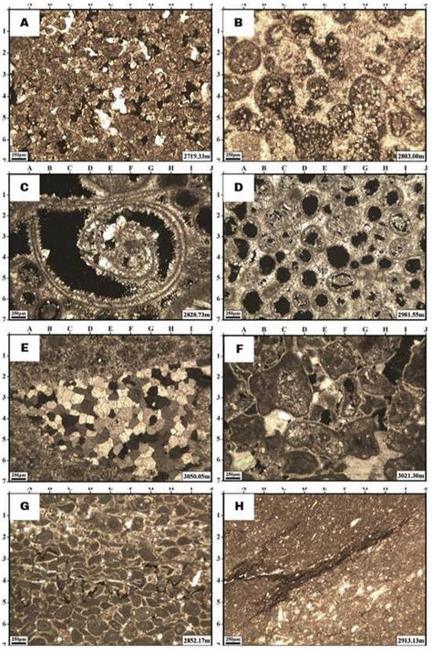 Diagenetic Classification—A New Concept in the Characterization of ...
