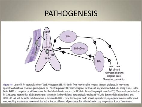 FEBRILE NON HEMOLYTIC TRANSFUSION REACTION | PPTX