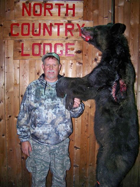 Bear Hunt Gallery 2018 - North Country Lodge