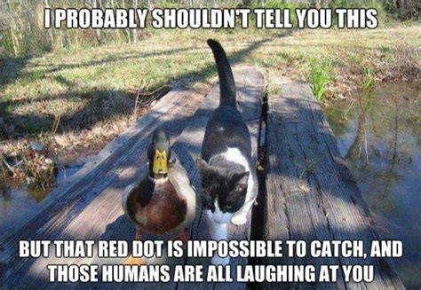 Image result for Random Tips