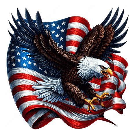 American Bald Eagle With Us Flag Isolated On Black Background, American ...