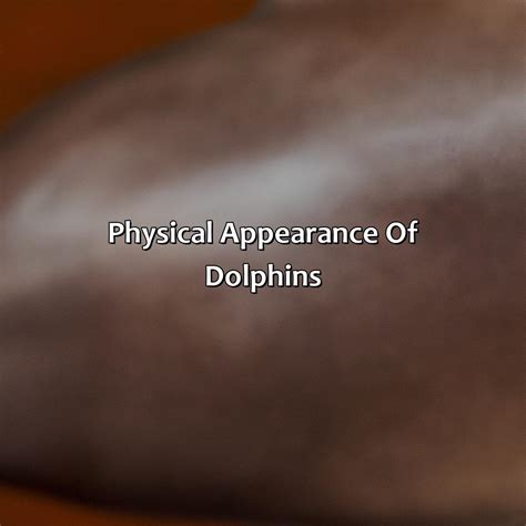 Dolphin Color 的图像结果