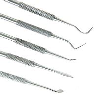 ZHART'S Stainless Steel Taxidermy Sculpting Tool Set Wax Carvers Wood ...