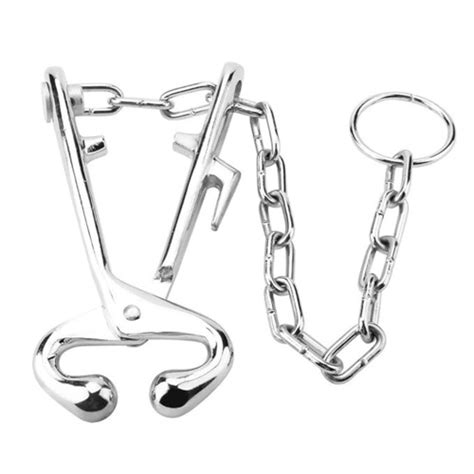Veterinary Instrument Manufacturer in Idar, Gujarat