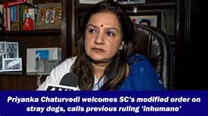 Priyanka Chaturvedi welcomes SC’s modified order on stray dogs, calls ...