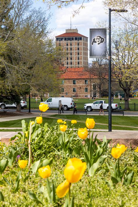 Behind the Scenes of Well-Being: CU Boulder Administrative Services ...