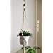 ecofynd Cotton Plant Hanger, Flower Pot Holder, Ivory, 39 inches, Pack ...