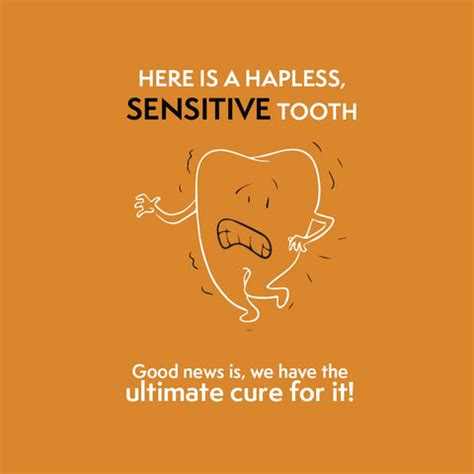 Bentodent Toothpaste - Desensitizer Natural Sensitivity Relief ...