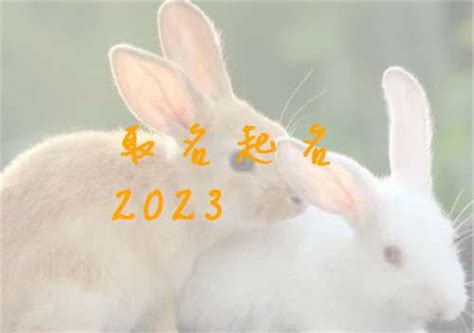 属兔2023年运势及运程属兔人2023全年运势(属兔今年八字运程怎么样女)_八字_若朴堂文化