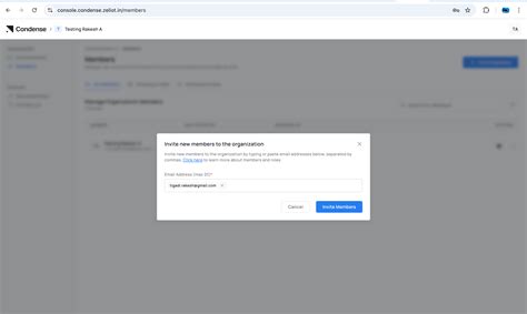 Understand & Assign Roles | v2.4.0 | Condense Documentation