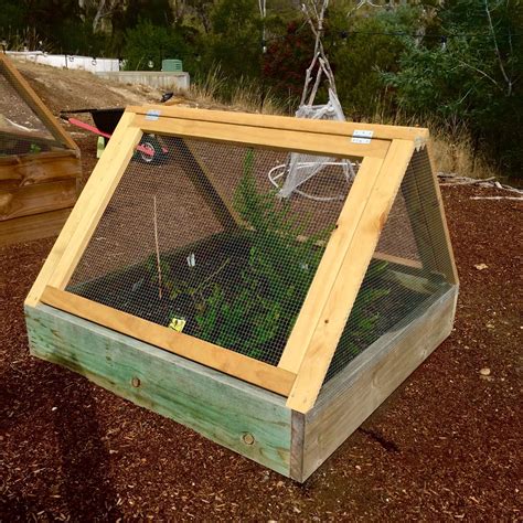 Protecting Your Produce with Raised Garden Bed Covers