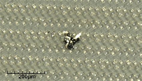 Image result for Particulate Testing