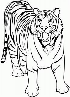 malvorlagen tiger kostenlos ausdrucken ausmalbilder tiger kostenlos malvorlagen zum ausdrucken malvorlagen tiger kostenlos ausdrucken ausmalbilder tiger kostenlos malvorlagen zum ausdrucken