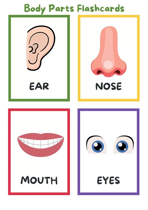 Free body parts flashcards printable for kids – Artofit - Letter U Made Out of Body Parts