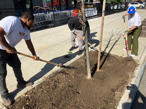 Volunteering 的图像结果