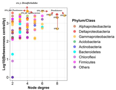 Characterization and Performance of Lactate-Feeding Consortia for ...