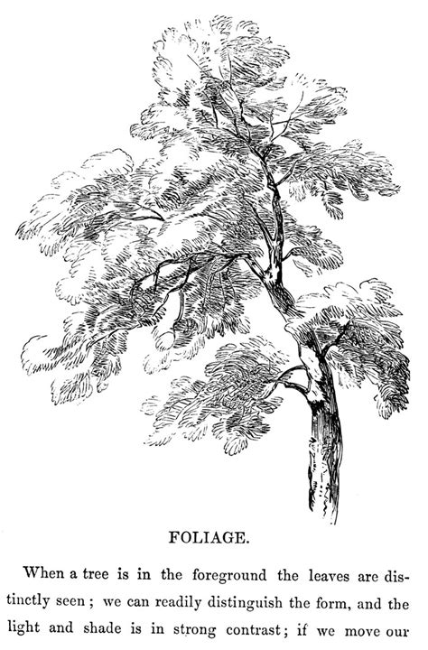 Image result for How to Draw Perspective