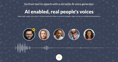 Image result for Video Voice Over Software for PC