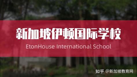 新加坡澳大利亚国际学校_新加坡澳大利亚国际学校申请流程及条件-院校新闻