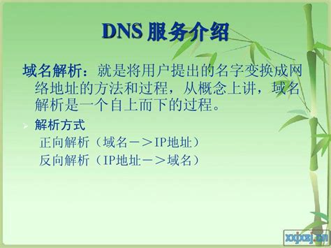 DNS服务器是什么? - 半岛登陆注册