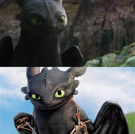 Image result for Toothless Filming