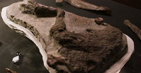 穿越“侏罗纪世界”——探秘常州中华恐龙园“恐龙基因研究中心”_科普