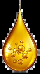 Vegetable Oil Refinery Manufacturer in India |Oil Refining Plant ...