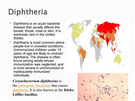 Respiratory system diseases | PPTX