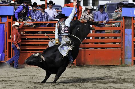 Amazing Rodeo World Records