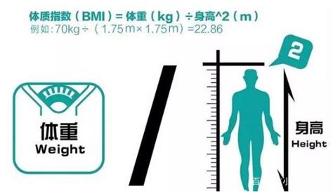 bmi指数男女标准（2020男女身高体重标准表） | 趣玩号