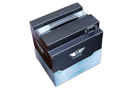 Start-up machine revs up in NCR, from e-scooters to a fuel delivery ...