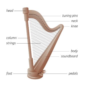 Rezultat imagine pentru Harp String Types