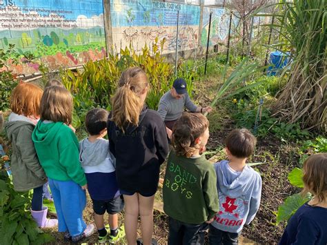 LIL GREEN THUMBS: School Holiday Session, 25 Dignan Street, Auckland ...