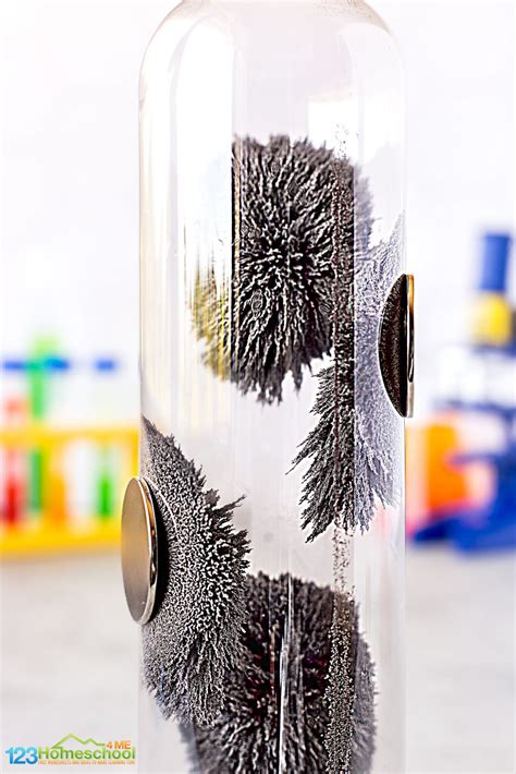 Image result for Simple Experiments Using Magnets