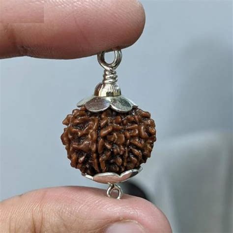 RDESIGN AAA+++ Quality 8 Mukhi Rudraksha Original Certified Nepali ...
