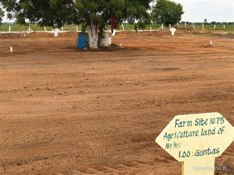 Plots now being sold as farm plots!