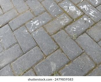 Pre-Placed Aggregate Concrete 的图像结果