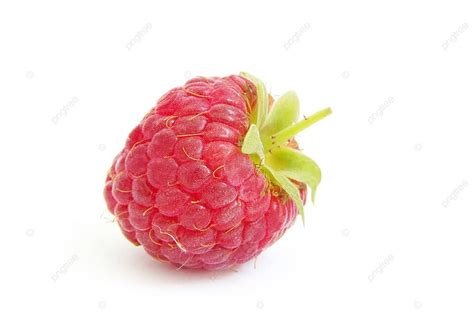 Image result for Raspberry Pi 4 White Background