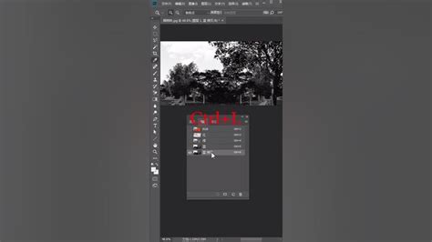 Image result for Piximperfect Vector Tutorials