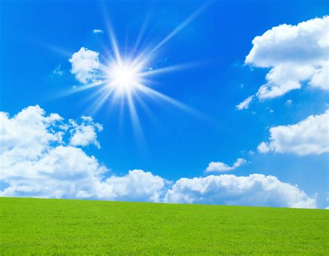 Sunny Day Background (38+ images)