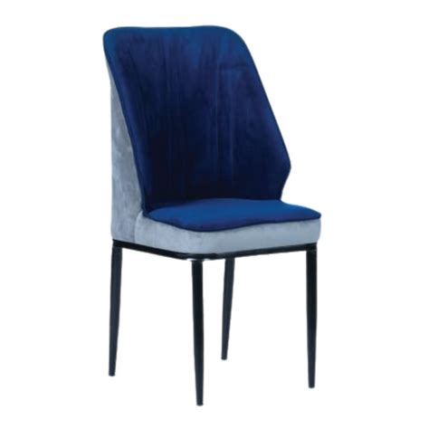 ALESKA Visiting Chair