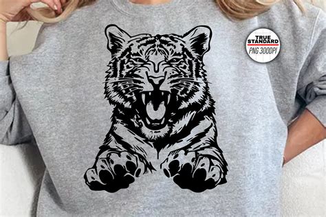 Image result for Tiger for Scratch Coding