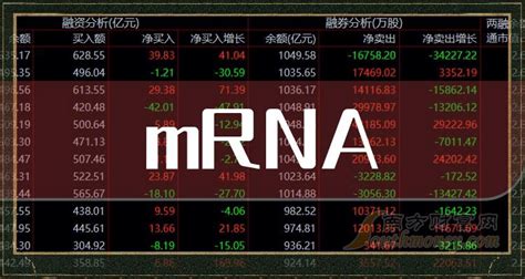 mRNA上市公司龙头名单是哪些？（2023/2/24） - 南方财富网