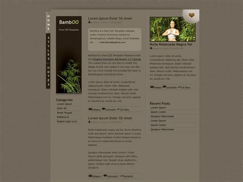 Image result for HTML and CSS Code Free Download