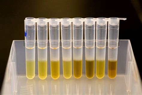 DNA Isolation Animation 的图像结果