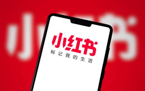 小红书app下载安装-2024小红书app最新版v8.26.0 官方安卓版-腾牛安卓网
